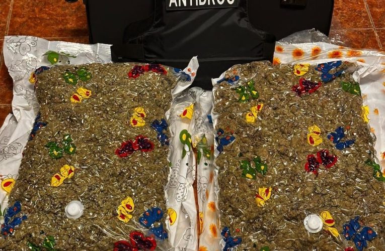 15 kilograme de canabis în saci vidați – descoperire a DIICOT la Cluj