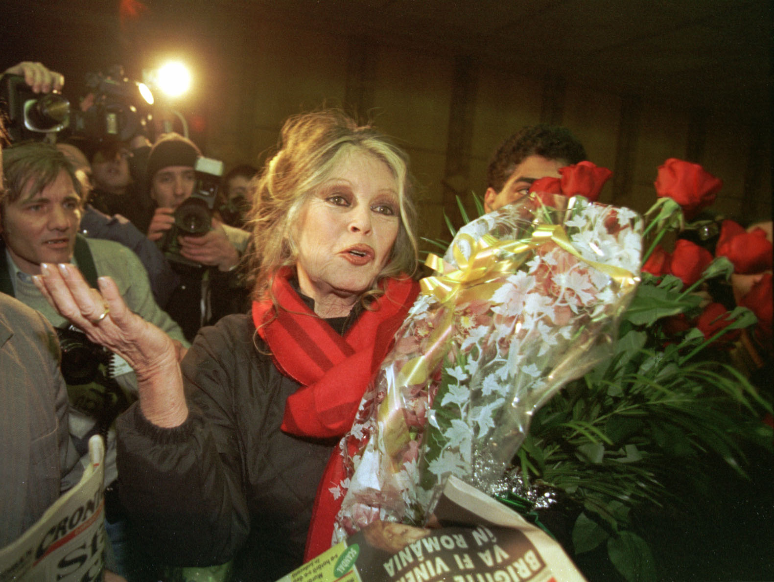 Brigitte Bardot, internată din nou în spital