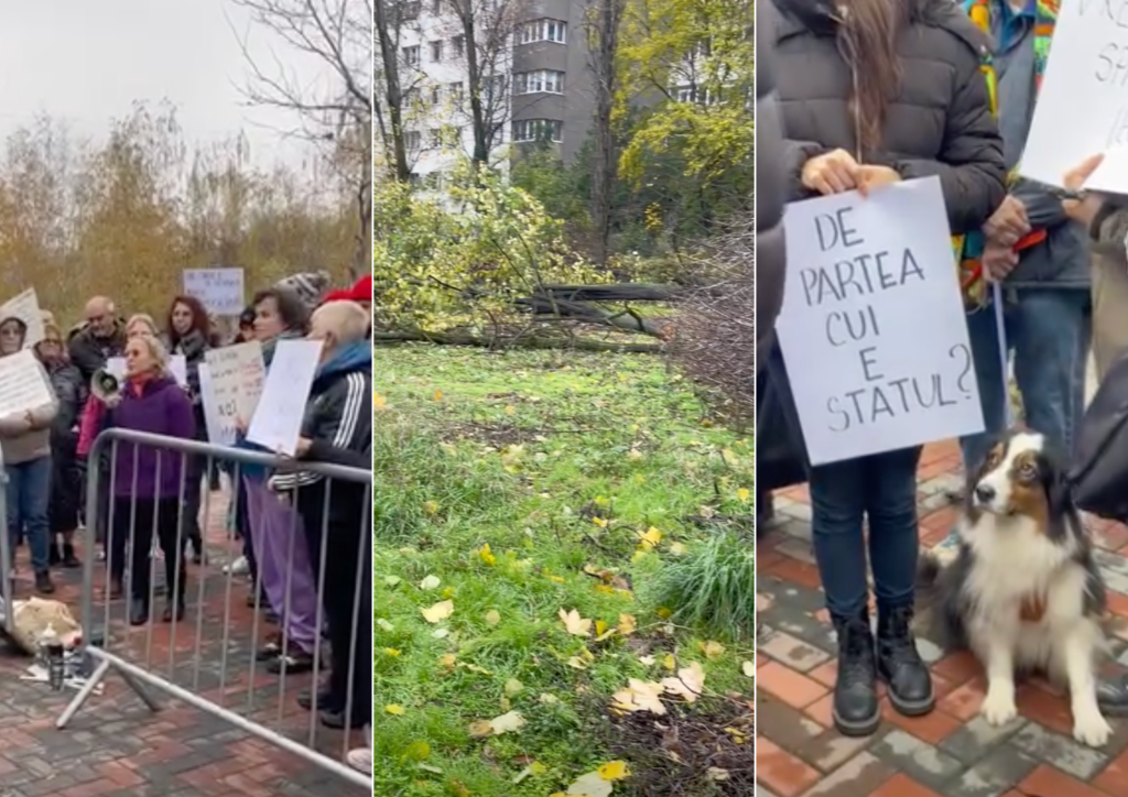 Ciucu: Cazul din Parcul IOR e revoltător, acei oameni trebuie luați pe sus