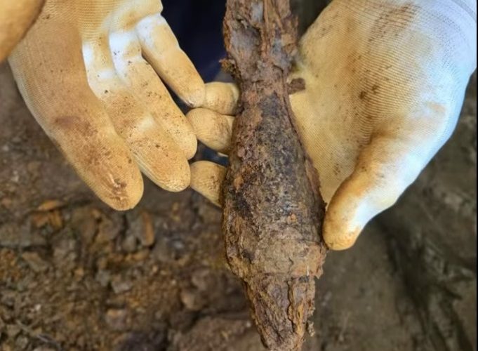 Depozit cu 600 de bombe, 70 de cartușe și 3 proiectile, descoperit in Argeș cu ajutorul detectorului de metale