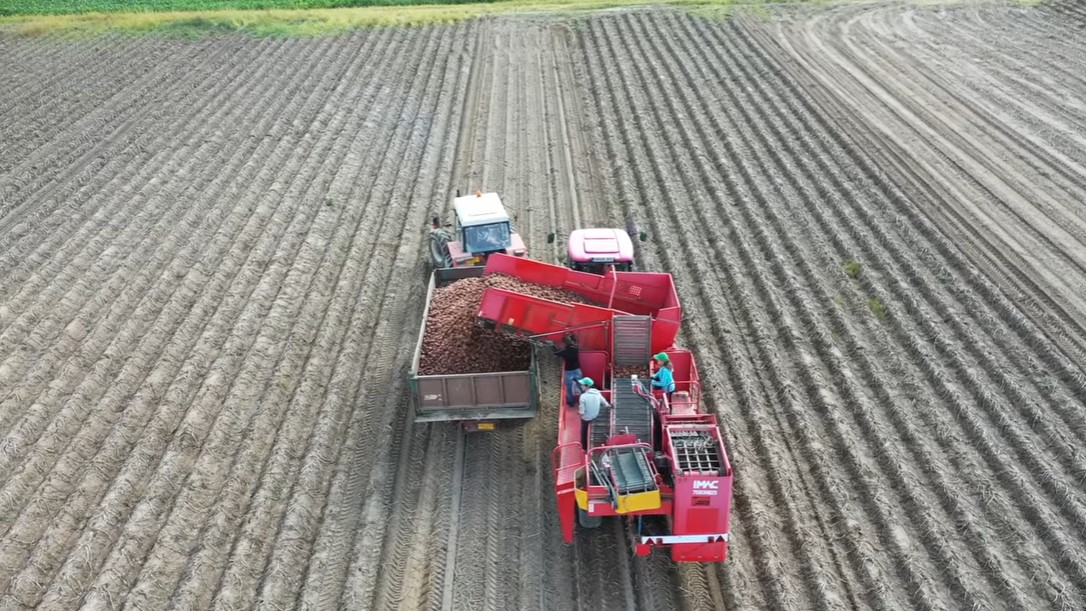 Fermierii români adoptă soluții biologice pentru o productivitate mai rezilientă și mai ridicată a culturii de cartofi