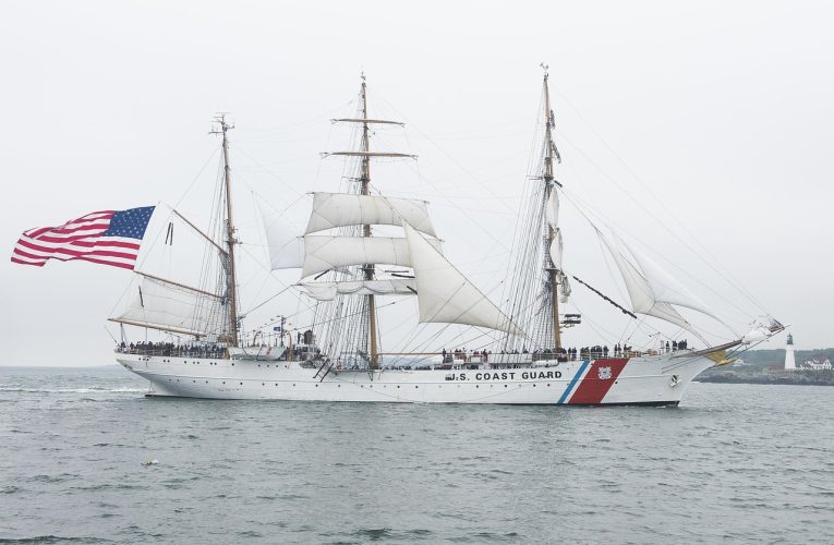 Modificare de politică la Garda de Coastă. Zvasticile și ștreangurile vor fi considerate „potențial provocatoare”