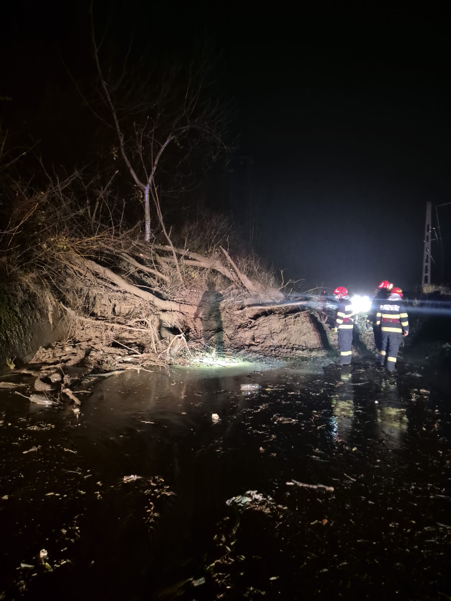 Noapte de foc pentru pompierii din Prahova. Au intervenit pentru inundații, copaci căzuți și alunecări de teren