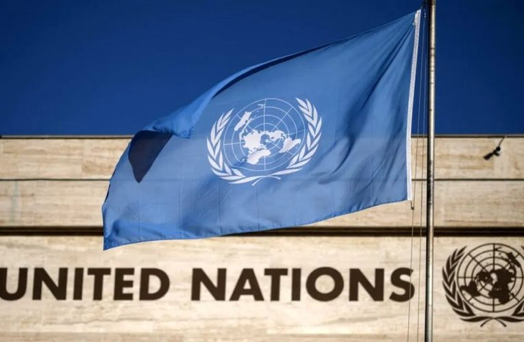 ONU solicită tragerea la răspundere pentru uciderea jurnaliştilor în Gaza