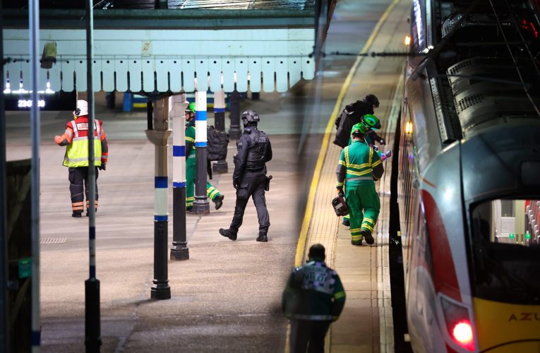 Poliția britanică afirmă că atacul sângeros din tren nu este considerat un incident terorist. Doi cetățeni britanici arestați