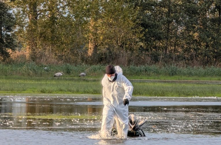 Primul deces uman cauzat de virusul gripei aviare H5N5 înregistrat în SUA