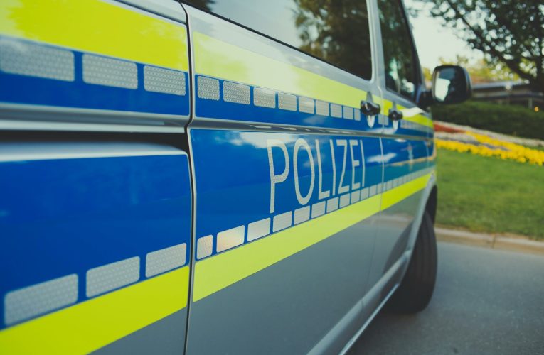 Proteste violente la congresul Generation Deutschland, organizația de tineret a partidului extremist AfD. Ciocniri între manifestanți și poliție