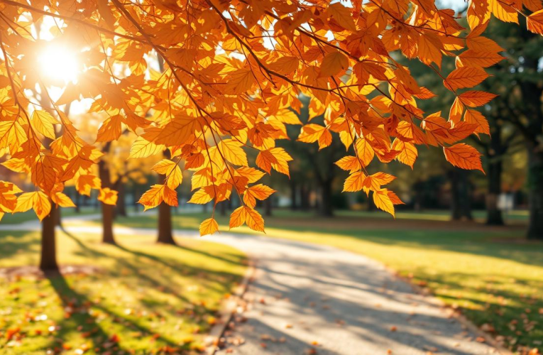 Temperaturi record în România la început de noiembrie. ANM anunță când se răcește vremea