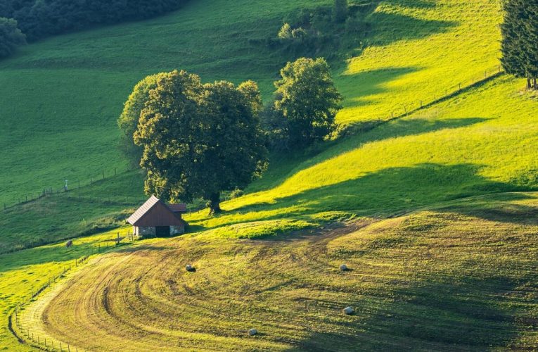 Un milionar a construit o fermă uriașă care să-i asigure supraviețuirea în diferite scenarii apocaliptice. Aceasta poate găzdui sute de oameni