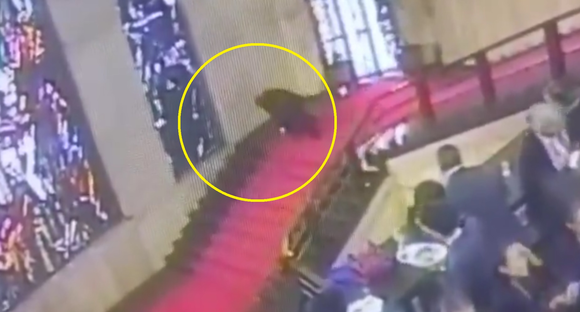 Vitraliu istoric distrus: Un politician italian provoacă o pagubă de 40.000 euro