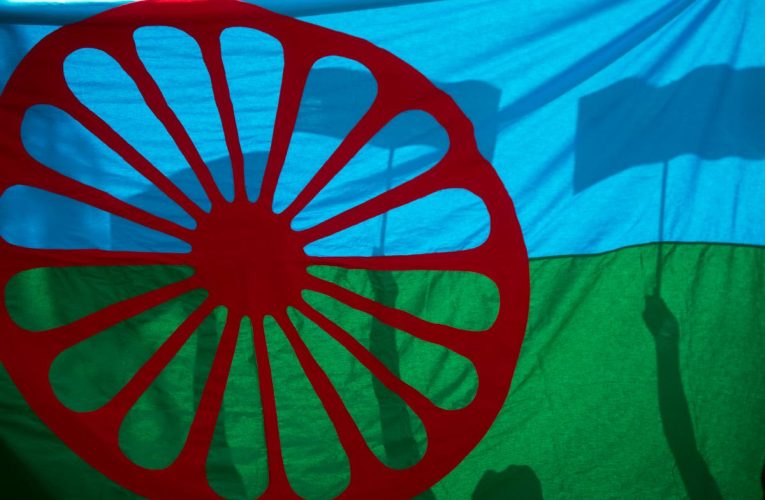 Acuzații grave privind reprezentarea romilor în România: „Un sistem de tip partid unic subminează democrația”