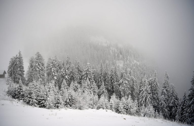 Avertizare meteo: Cod roșu de vânt puternic în zona montană a județului Alba