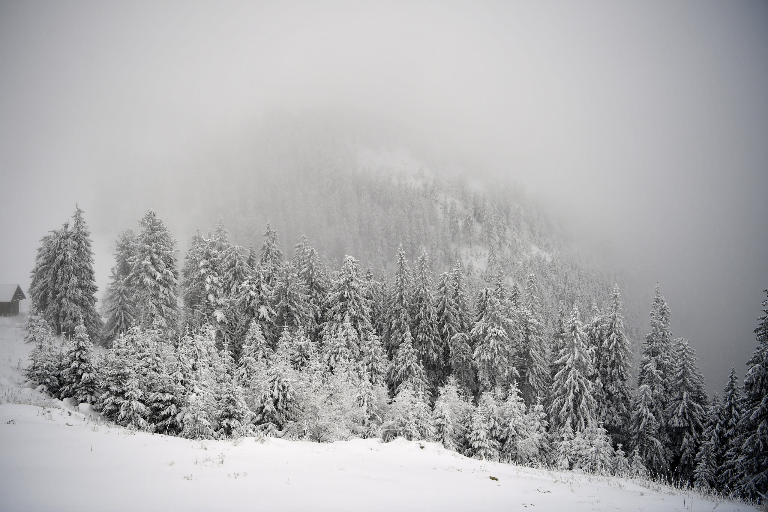 Avertizare meteo: Cod roșu de vânt puternic în zona montană a județului Alba
