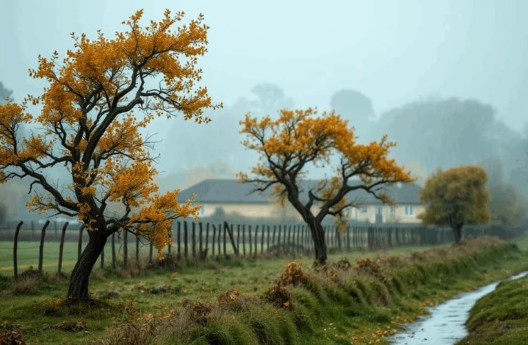 Cod portocaliu de vânt puternic în zonele montane din patru județe