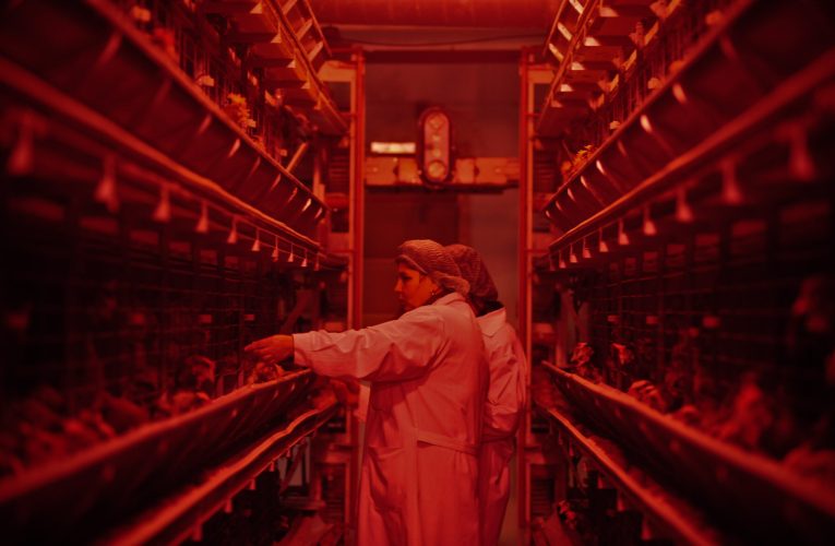 Compania Van Hessen își închide operațiunile din România după patru ani