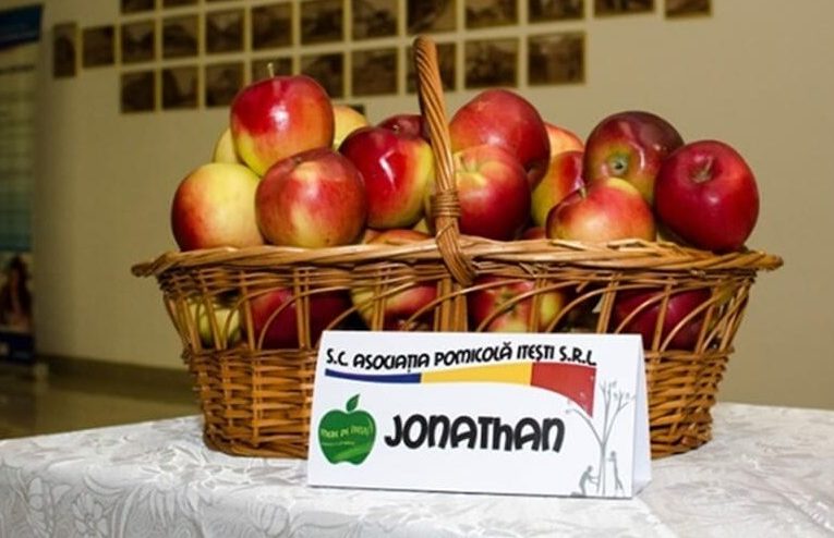 Consolidarea managementului dăunătorilor în livezile din România prin soluții sustenabile