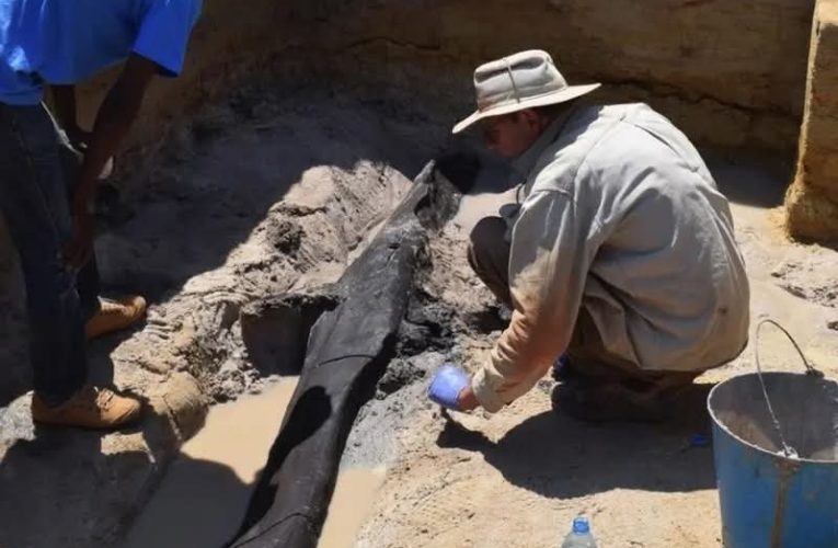Descoperire arheologică majoră la Kalambo Falls: cea mai veche structură din lemn cunoscută