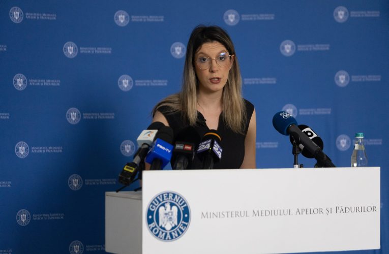 Diana Buzoianu, despre ESZ: Analizăm redactarea hotărârii care să desfințeze această companie