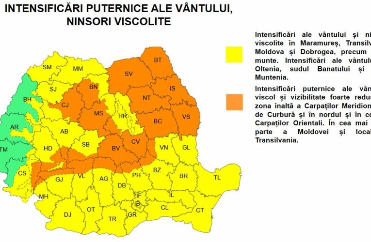 Episod de iarnă severă în România: concluziile ședinței Comitetului ministerial pentru situații de urgență convocat de Ministerul Mediului