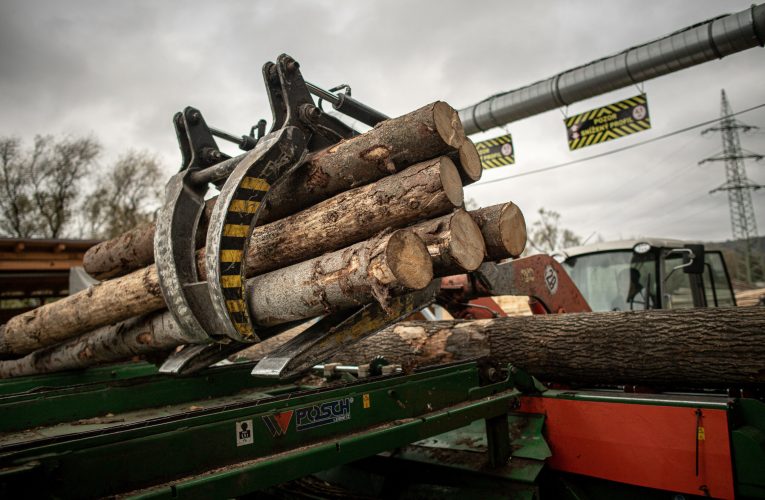 Europa a frânat lupta împotriva schimbărilor climatice. Un an pierdut, în timp ce marile companii petroliere își cresc profiturile