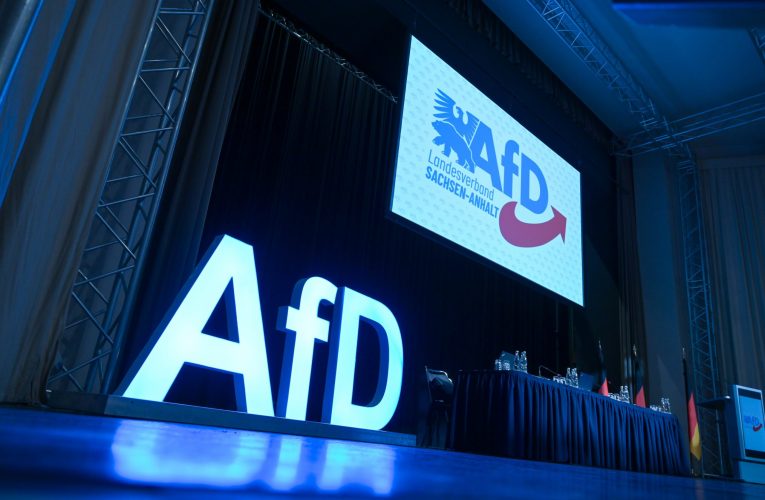 Extrema dreaptă din Germania, acuzată că strânge informații pentru Moscova. Un parlamentar AfD se apără: „Nu este treaba mea să-mi limitez întrebările”