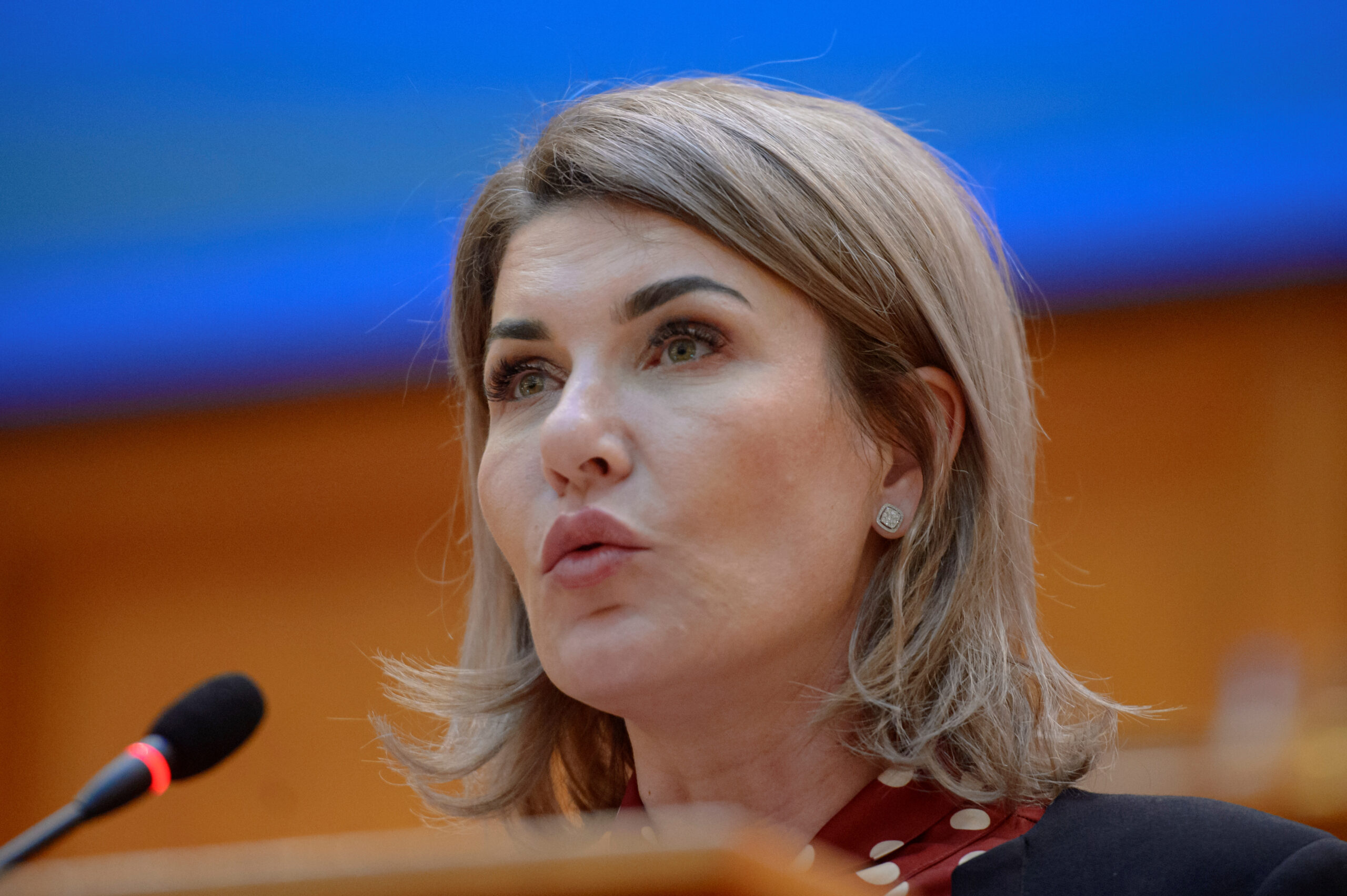 Gianina Șerban, vicepreședinta Camerei Deputaților: „TVA e un furt sistematic din buzunarele românilor cinstiți”
