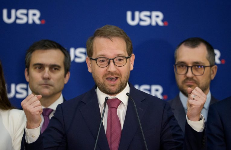 Liderul USR Dominic Fritz: Rezultatul candidatului nostru a dezamăgit