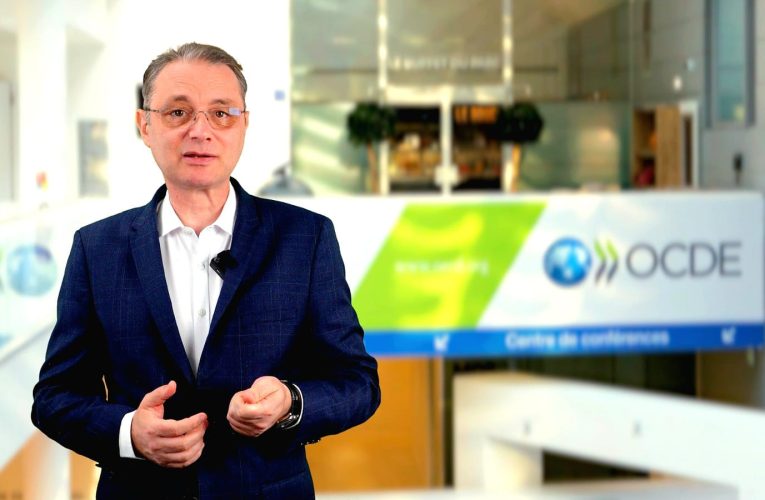 Luca Niculescu, coordonatorul național pentru aderarea la OCDE, după adoptarea legii privind plata pensiilor private: „Demonstrăm că ne aliniem la bune practici internaționale”