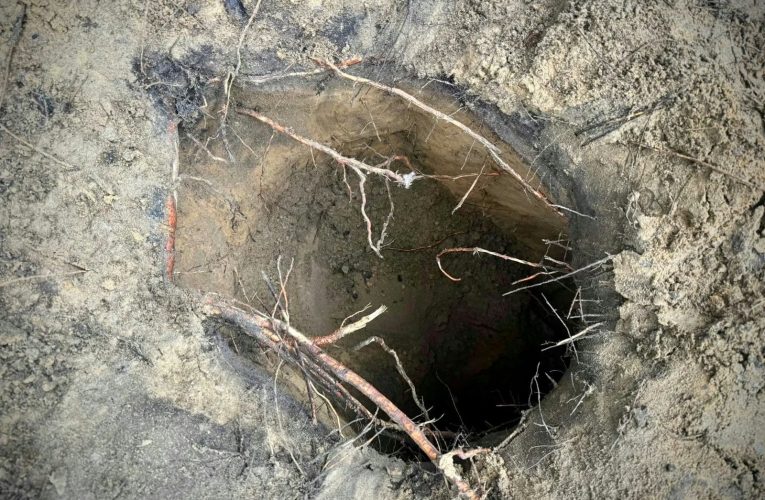 Nou tunel secret pentru migranți ilegali, descoperit în Polonia, la granița cu Belarus