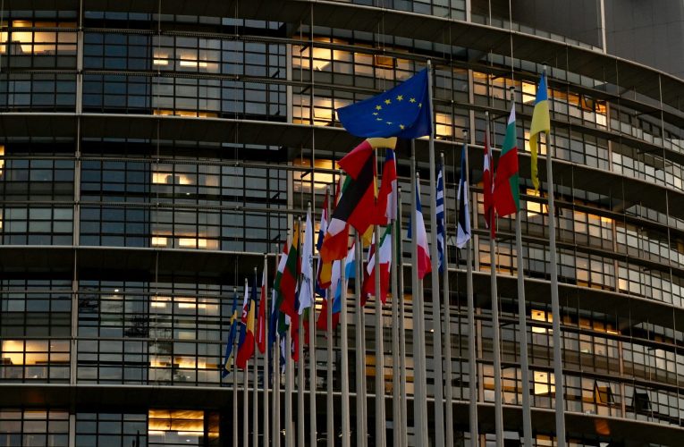 O delegația a Parlamentului European și-a anulat vizita la Kiev pe fondul prezenței unui deputat de extremă dreapta