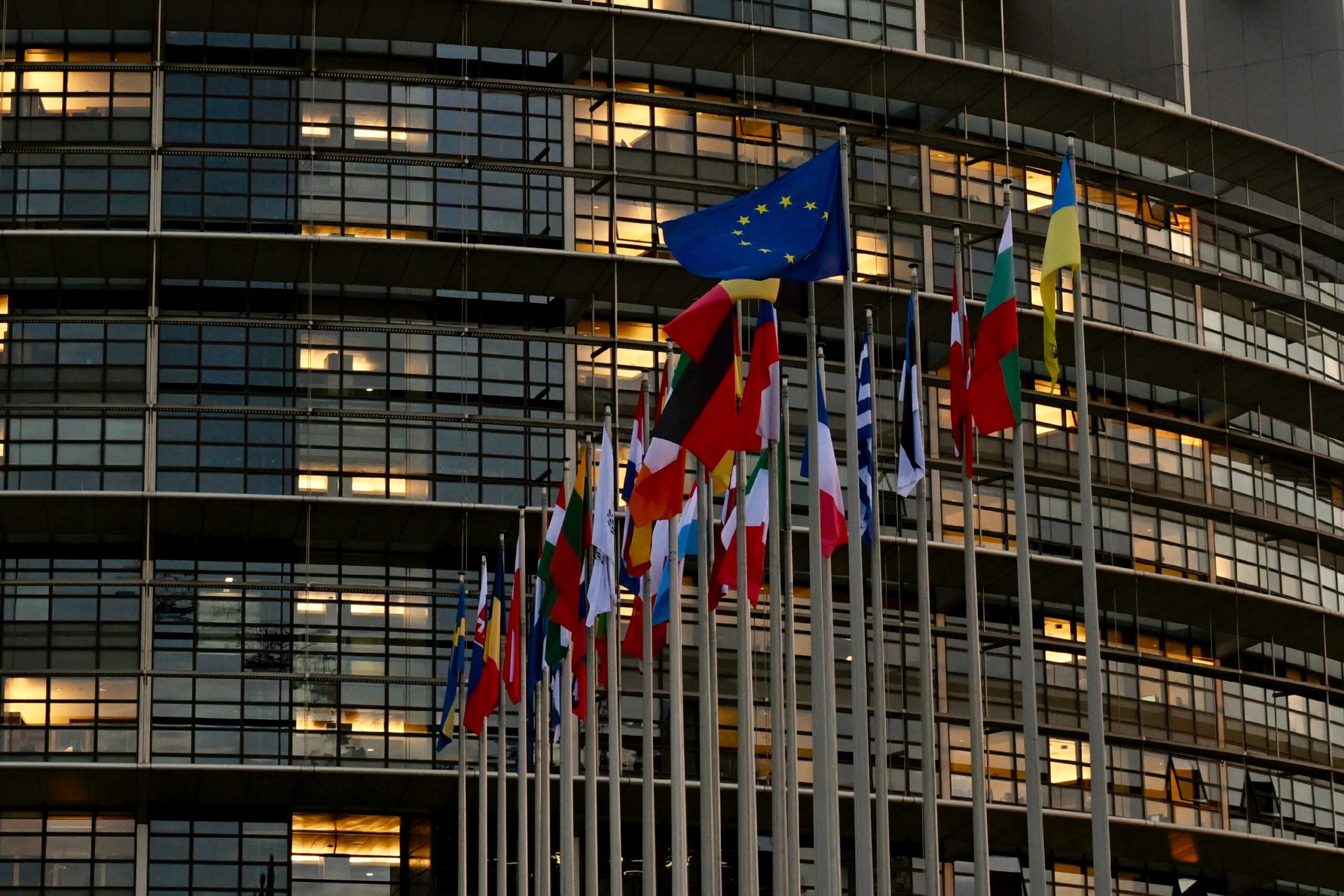 O delegația a Parlamentului European și-a anulat vizita la Kiev pe fondul prezenței unui deputat de extremă dreapta