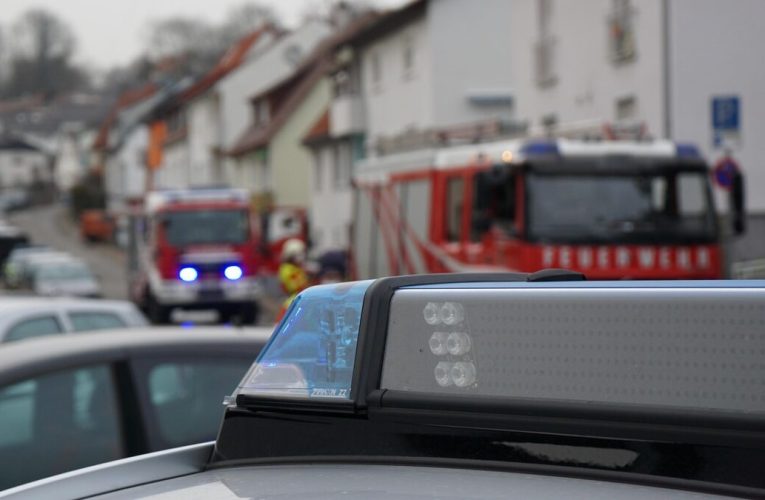 Opt gravuri celebre au fost furate în Brazilia de doi bărbați înarmați