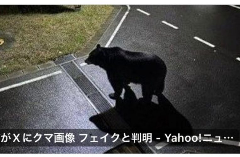 Panică în Japonia: Imagini false cu urși generate de AI pe fondul unui număr record de atacuri reale