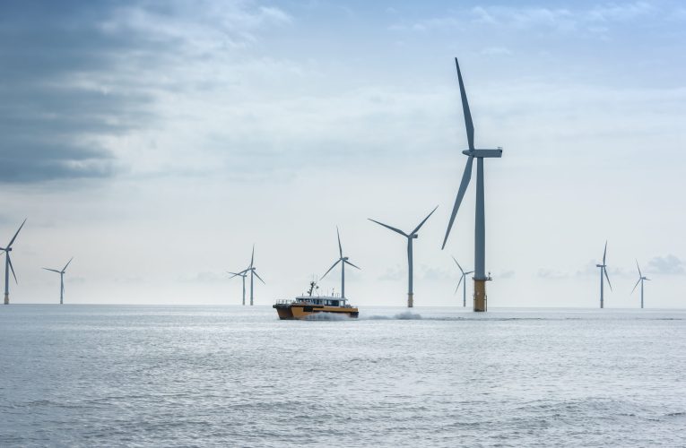 Polonia încetinește investițiile în parcuri eoliene din larg. Costurile sunt prea mari