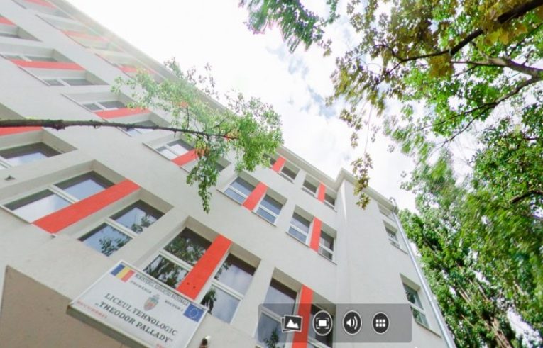 Programa de clasa a IX-a de română a Ministerului Educației, tocată mărunt de Academia Română / „Compromite plăcerea lecturii cu o programă ceaușistă, reciclată pentru generația AI”