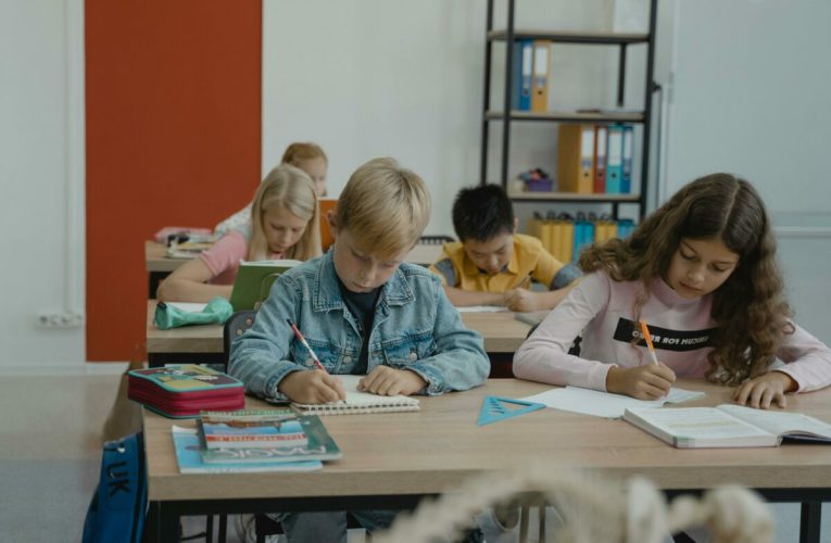 Teme obligatorii și teme facultative pentru copii. Daniel David a semnat ordinul care reglementează temele pentru elevi