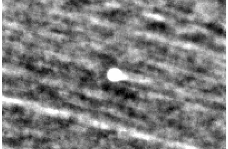 Un astrofizician de la Harvard susține că o navă de luptă extraterestră se apropie vineri de Pământ