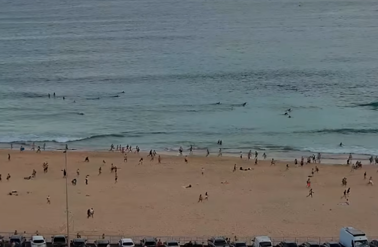 Un expert ONU critică declarațiile lui Netanyahu privind atacul armat de la Bondi Beach