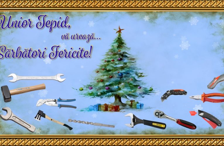 Unior Tepid: Performante remarcabile în anul 2025, mulțumiri partenerilor și echipei!