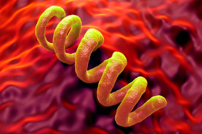 Americile, punctul de plecare al unei boli care a marcat omenirea timp de 5.500 de ani