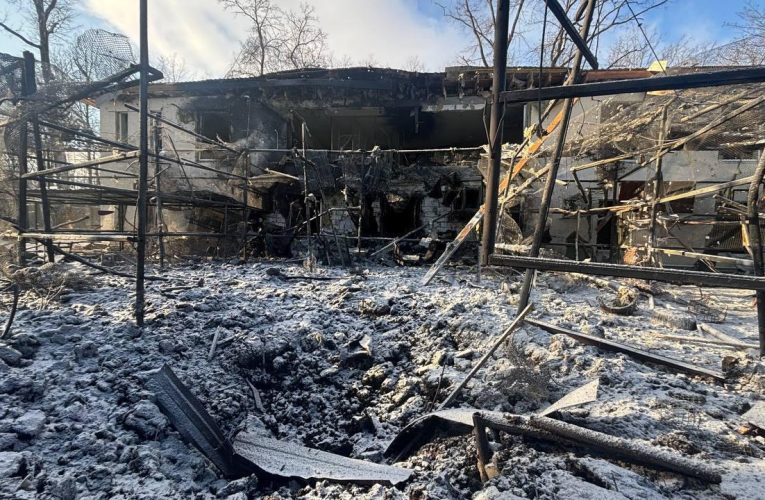 Atac rusesc asupra unui eco-parc de lângă Harkov: lei răniți și zeci de păsări ucise