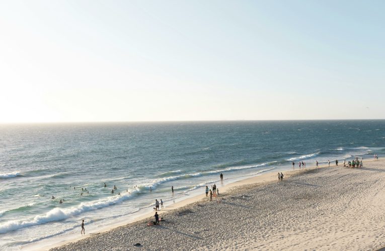 Atacuri ale rechinilor în Australia. Mai mulți bărbați, dar și copii, mușcați