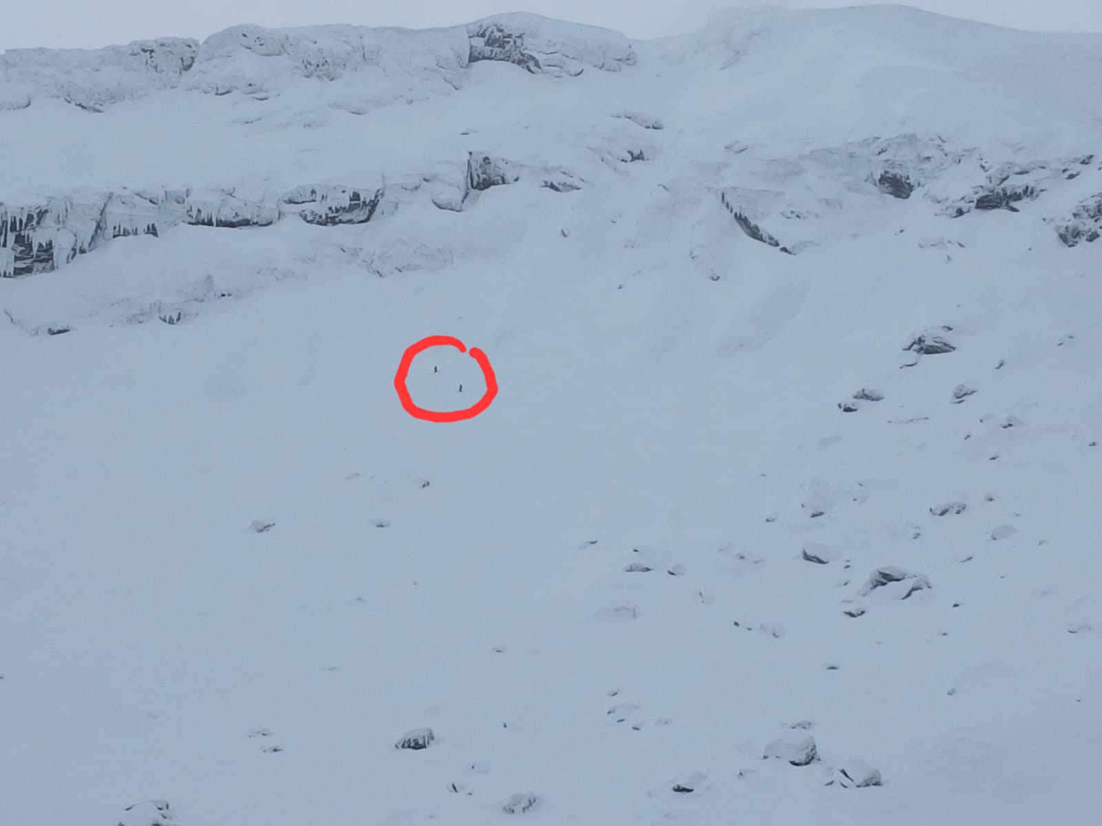 Avalanșă de mari dimensiuni în Munții Făgăraș, declanșată accidental de doi schiori