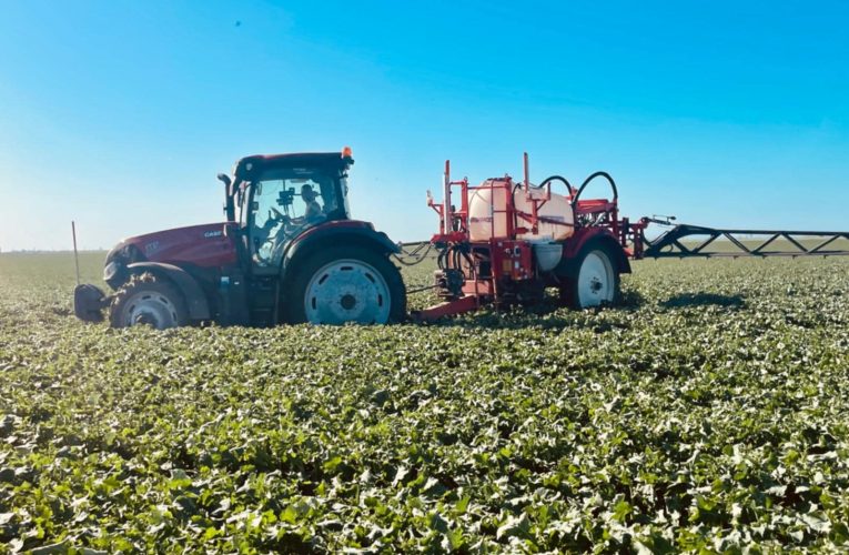 Câștigătoarea TalentA promovează agricultură sustenabilă în România printr-un proiect de măcinare a cerealelor pe piatră