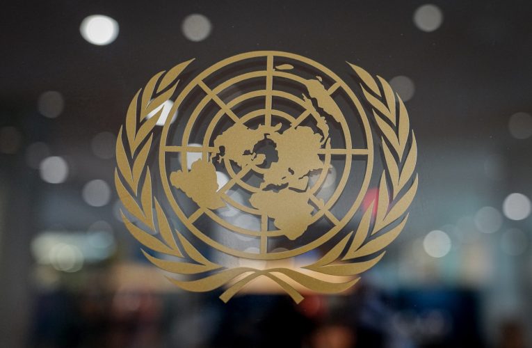 Consiliul de Securitate al ONU se va reuni de urgență după atacurile asupra Kievului