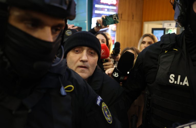 Fiul și nepotul lui Horațiu Potra, eliberați cu brățări electronice