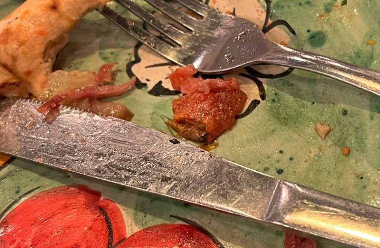 Gândac de bucătărie într-o pizza dintr-un restaurant din Amsterdam