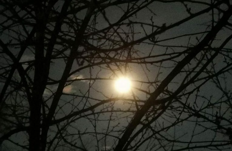 Luna Lupului și credințele iernii. Când se vede prima superlună din 2026?