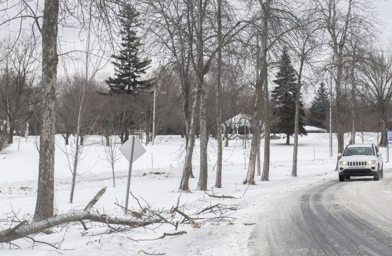 Mai multe județe din România, rămase fără curent. Intervenții în opt județe pentru restabilirea energiei electrice