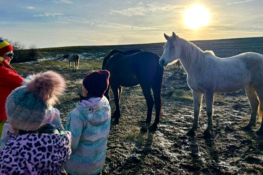 Mica Unire, marcată prin Hora Unirii la un stejar vechi de 700 de ani, în județul Sibiu